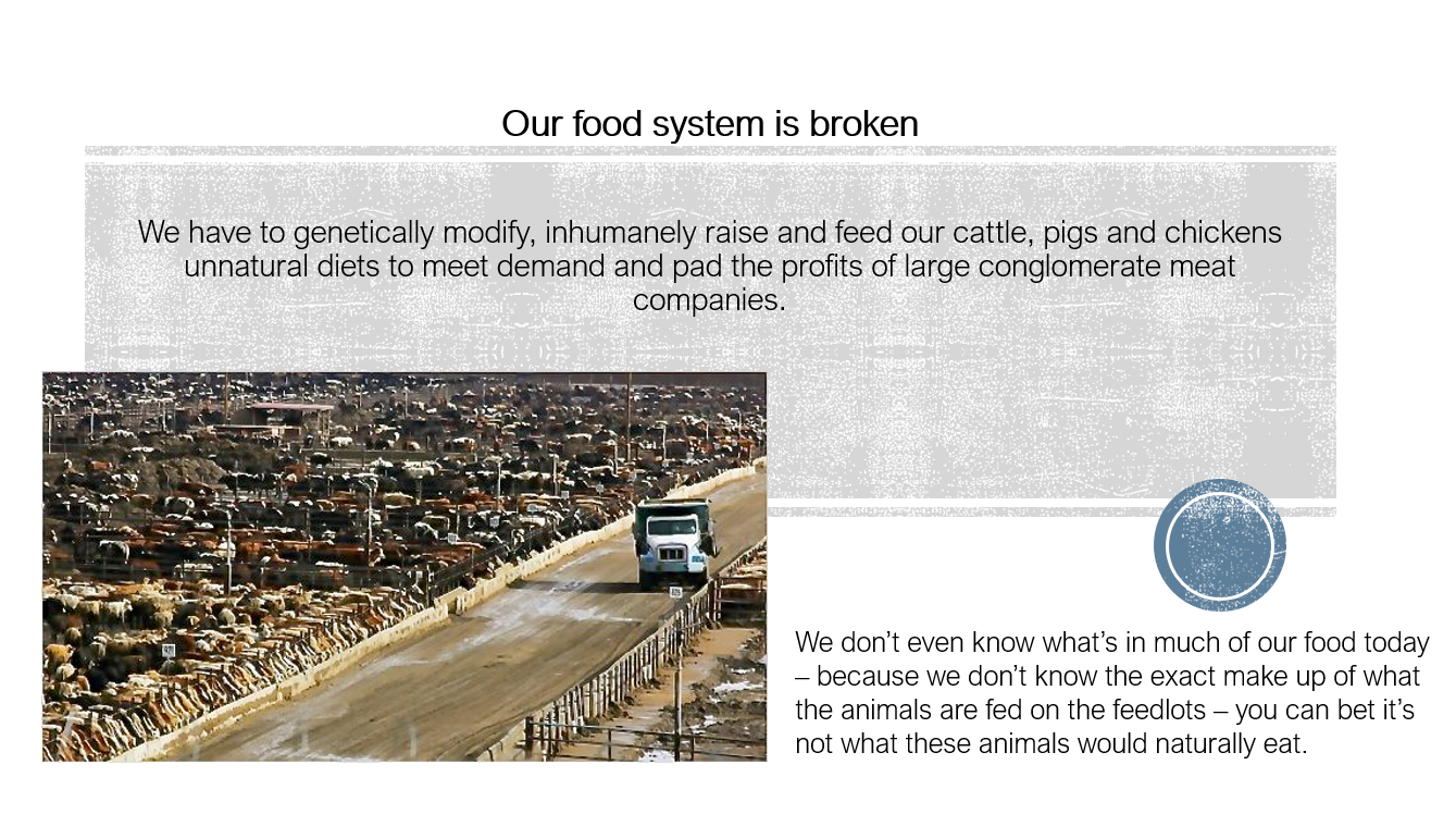 Our Food System is Broken