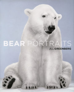 Bear Portraits_SM
