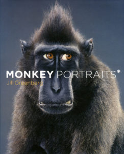 Monkey Portraits 2_SM