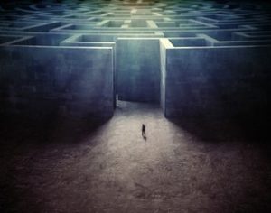 maze