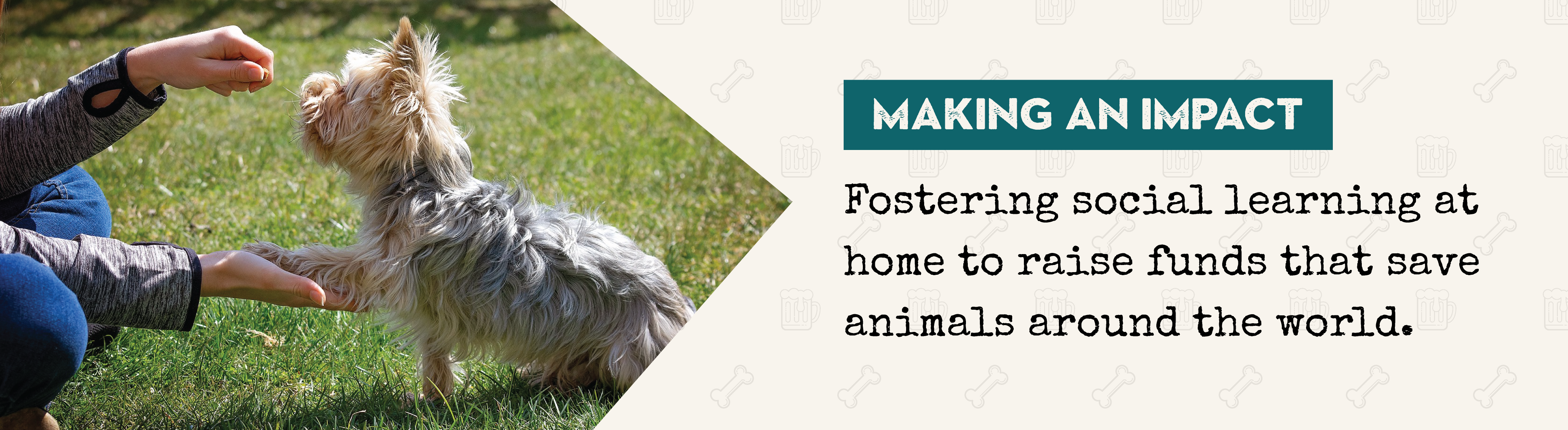 Fostering social learning at home to raise funds that save animals around the world.