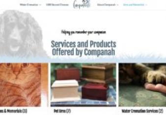 Store coupon code