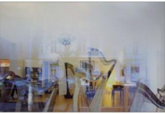 harp notecards