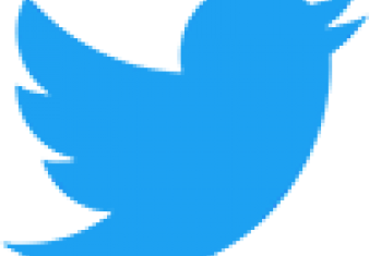 twitter bird