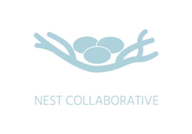 nest_Light Blue Logo (2)