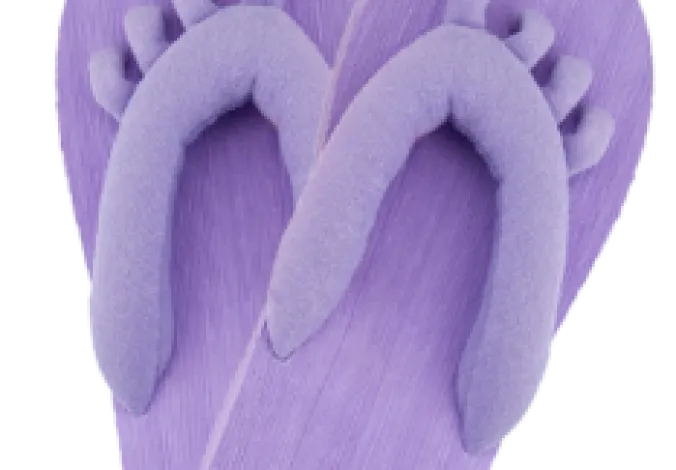 Footlogix PEDI SLIPPERS (002)