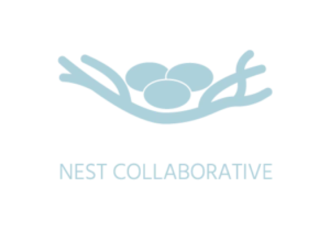 nest_Light Blue Logo (2)