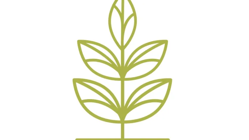 green_leaf.jpg Thumbnail