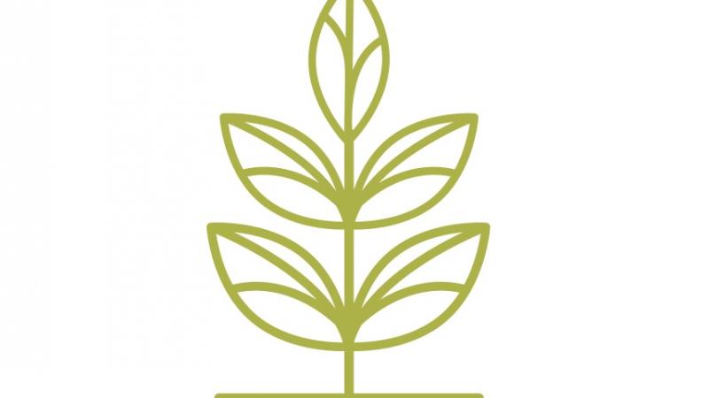 green_leaf.jpg Thumbnail