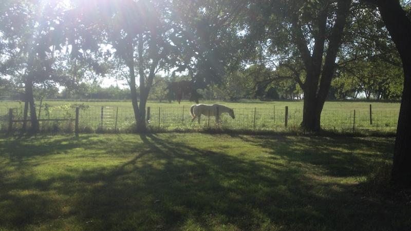 smokey_field.jpg Thumbnail