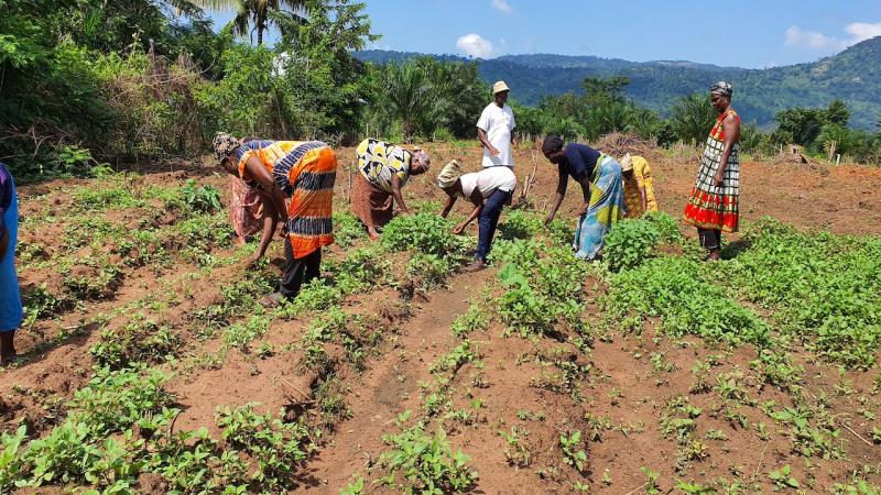 Women in Sustainable Agriculture | IFundWomen