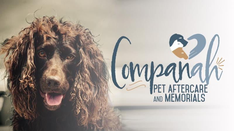 companah-jarvis-ifundwomen-1.jpg Thumbnail