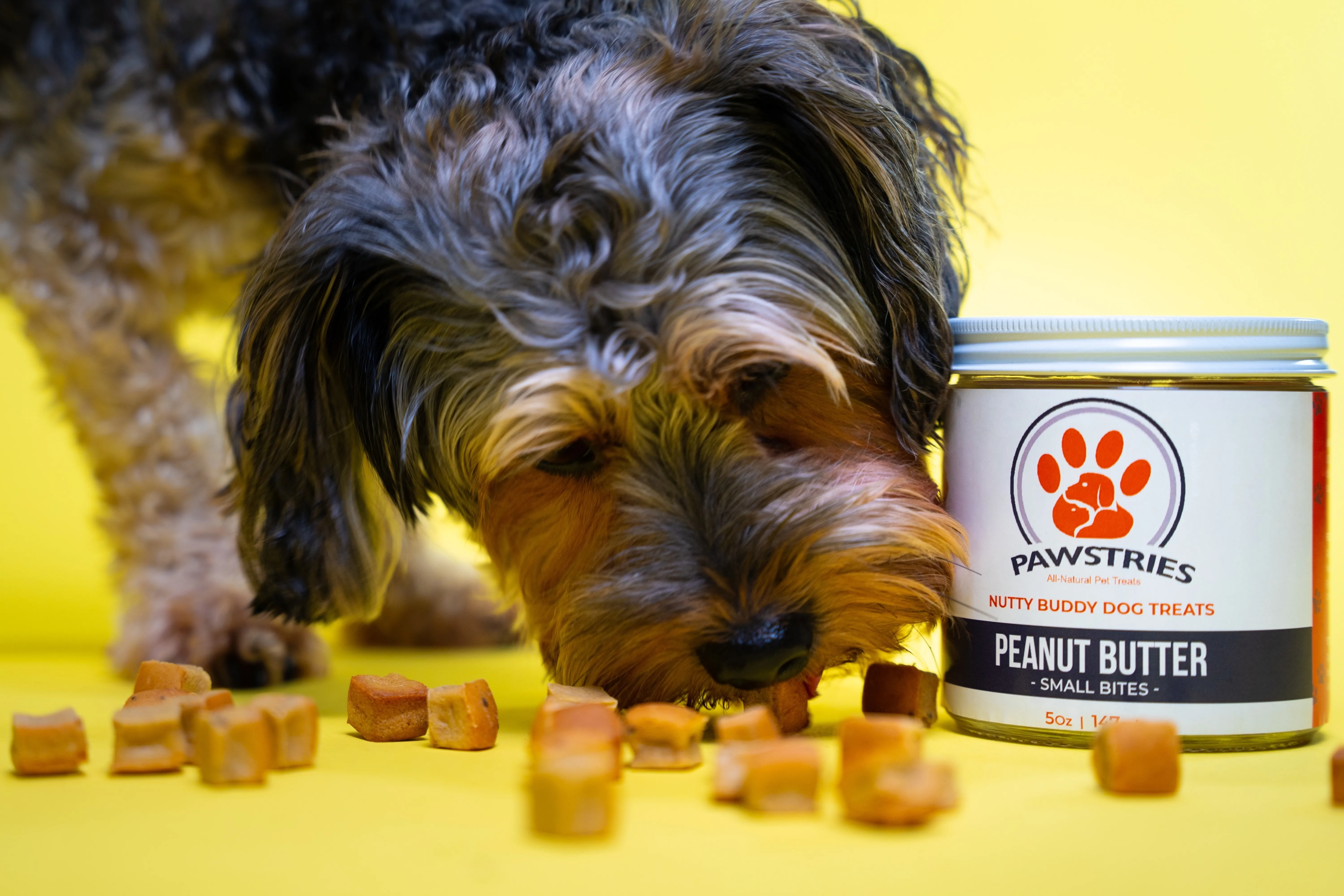 Dog eating dog treats from Pawstries