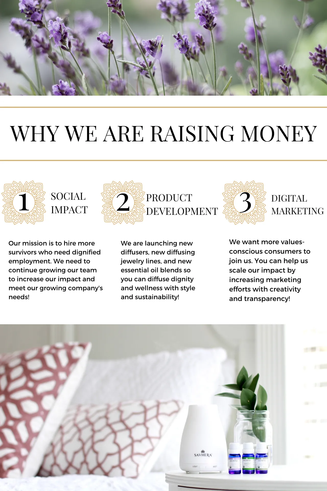 Crowdfunding Pitch Savhera