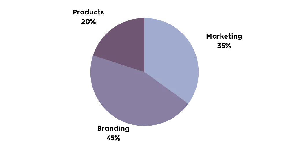 Pie Chart for Funding 20% products, 35% Marketing, 45% branding