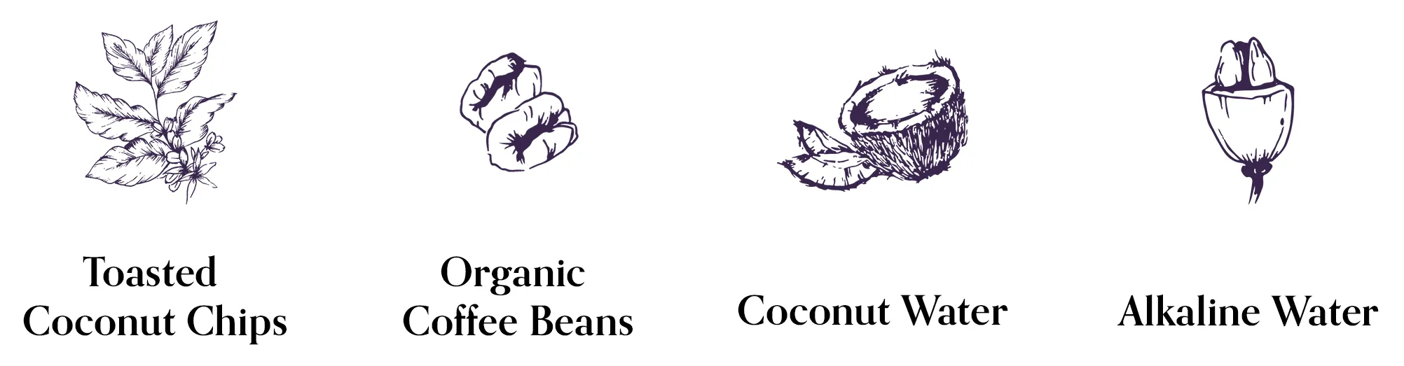 The SisterYard Coconut Cold Brew Coffee Concentrate Ingredients