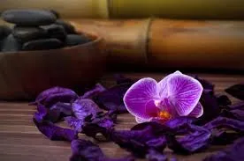 Purple-Flowers-Back