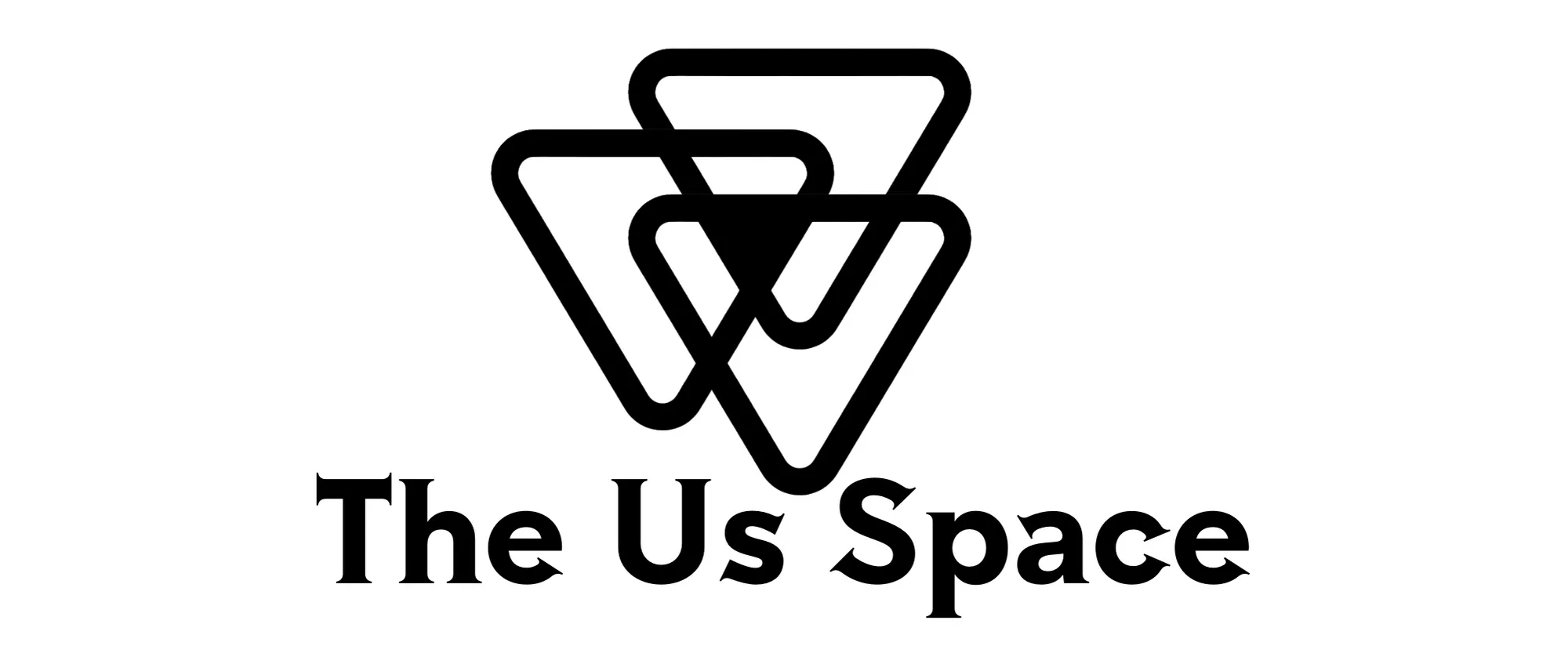 The Us Space Logo