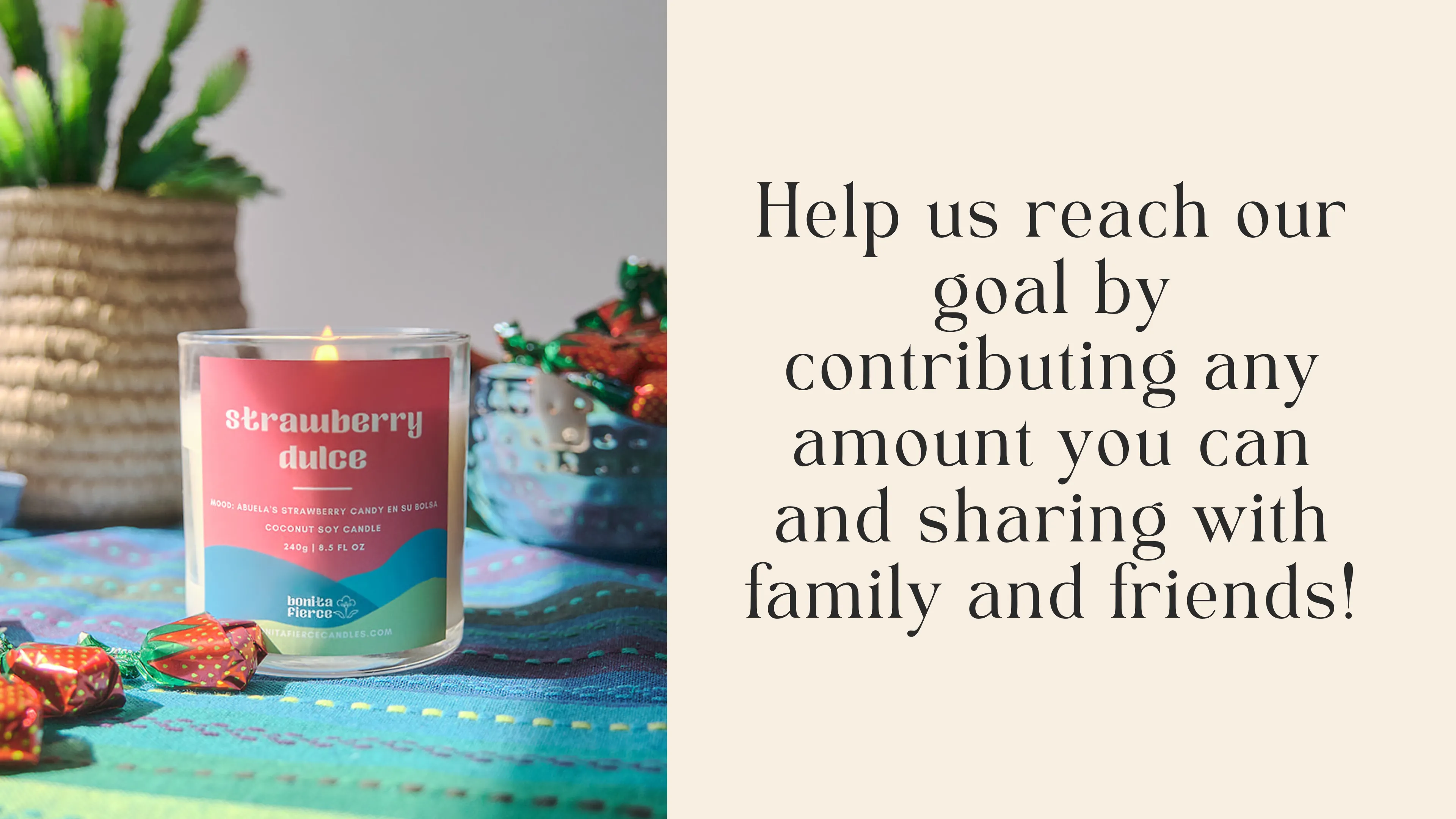 Help us reach our goal by contributing any amount you can and sharing with family and friends!