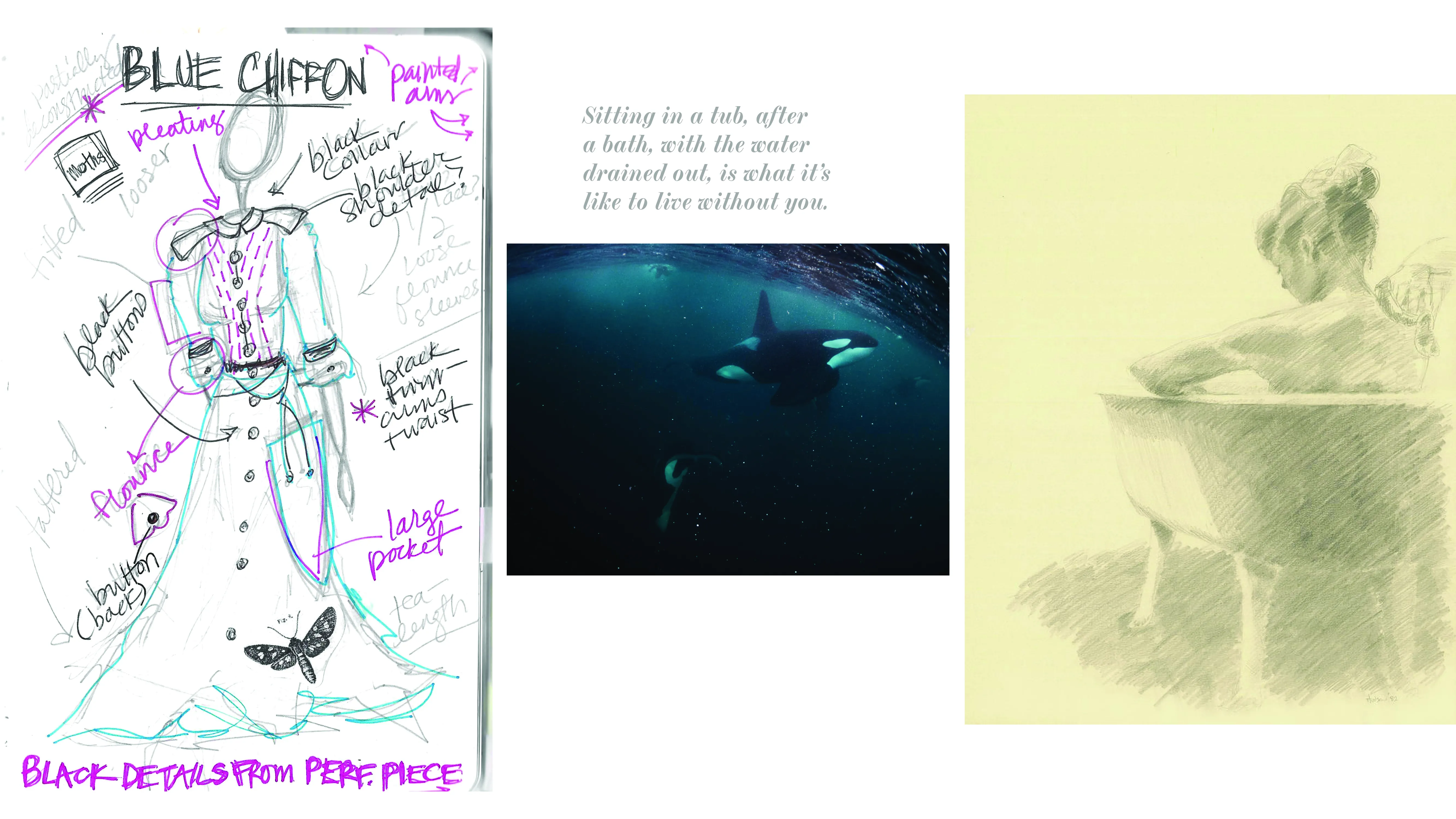 Drawing of mannequin in costume, photo of orcas in ocean, drawing of woman in bathtub