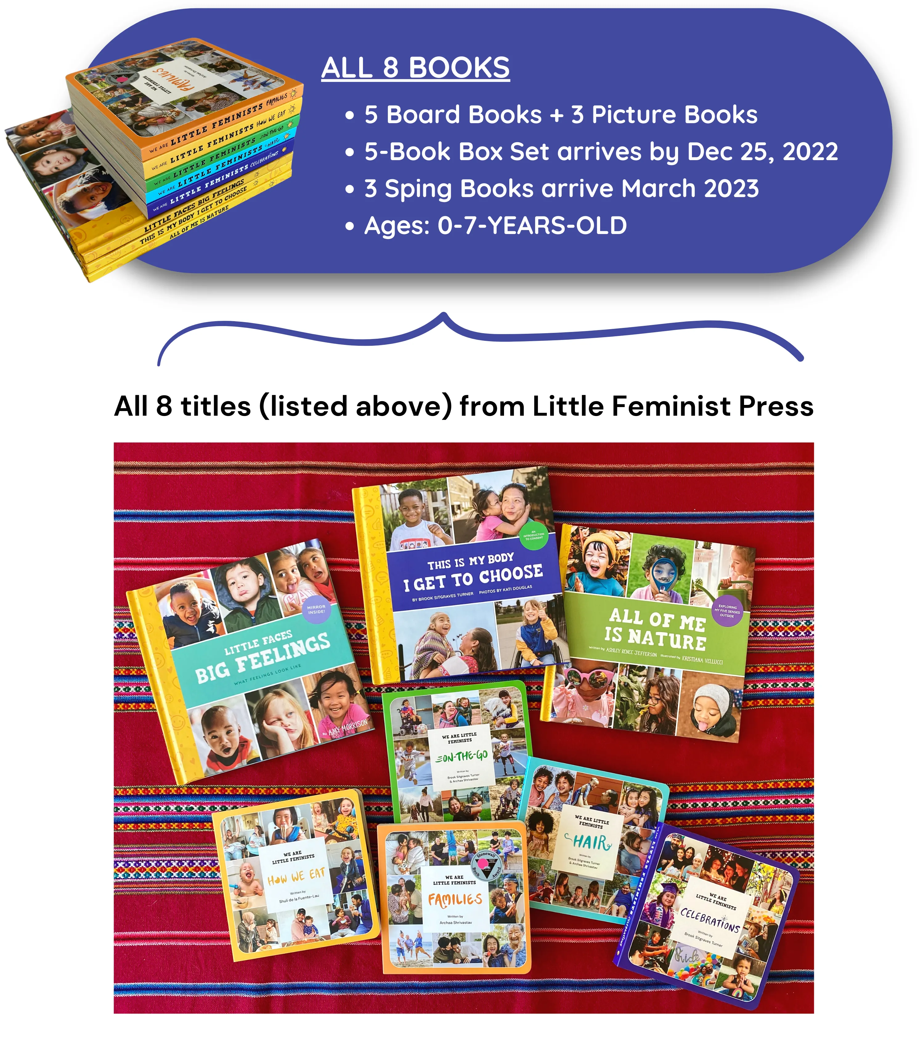 We Are Little Feminists - the board book series